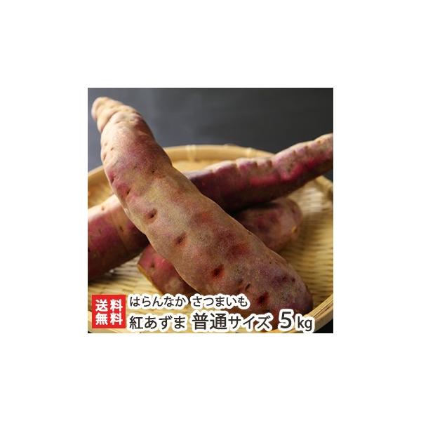 _͔|̊ÂĔn܂Ig Ȃ񏬐Ⴟ ʃTCY 5kg ͂Ȃ 