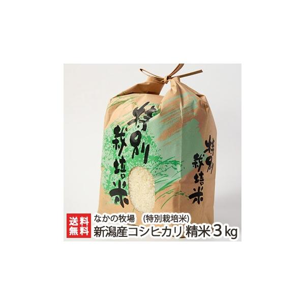 新潟県産 コシヒカリ 3kg×4袋 楽天市場】【令和7年度新米】 新潟県産 コシヒカリ（ 従来品種 ）精米