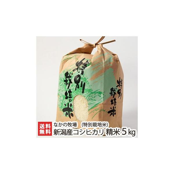 yߘa7NxVāzʍ͔|āi_Ew엿jVYRVqJ 5kg Ȃ̖q/̂/