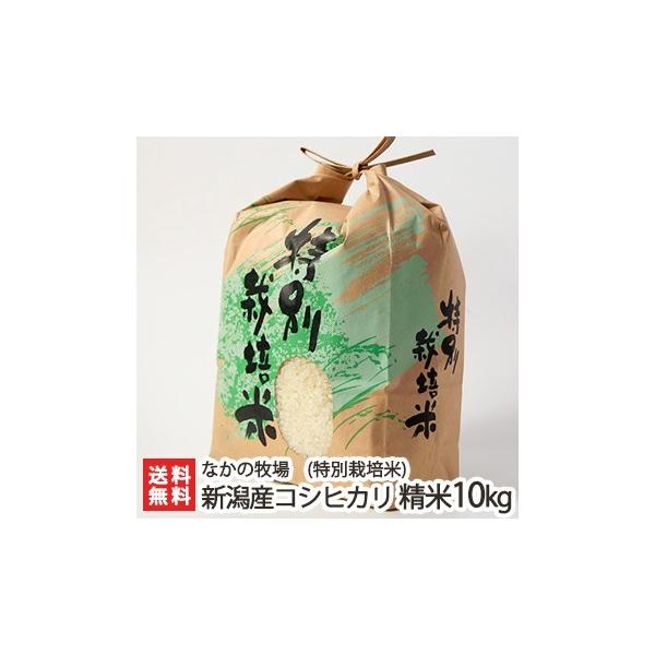 yߘa7NxVāzʍ͔|āi_Ew엿jVYRVqJ 10kg Ȃ̖q/̂/