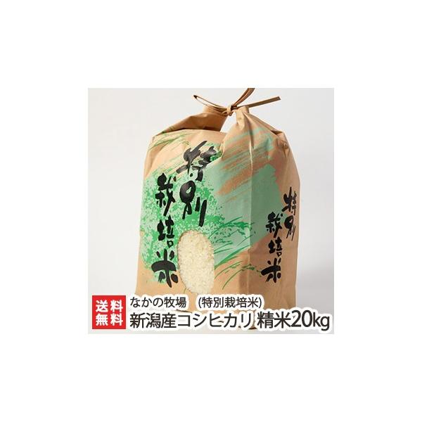 コシヒカリ 【令和6年度米】特別栽培米(減農薬・減化学肥料 コシヒカリ 【令和6年度米】特別栽培米(減農薬・減化学肥料