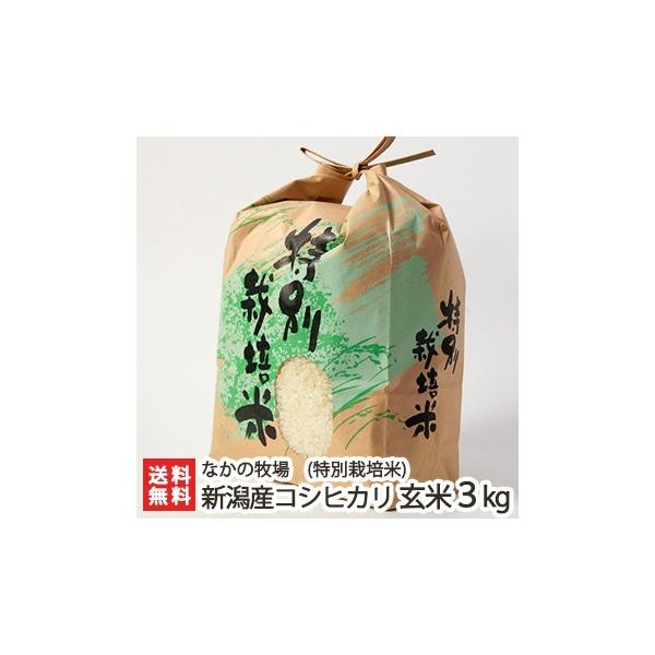 yߘa7NxVāzʍ͔|āi_Ew엿jVYRVqJ 3kg Ȃ̖q/̂/