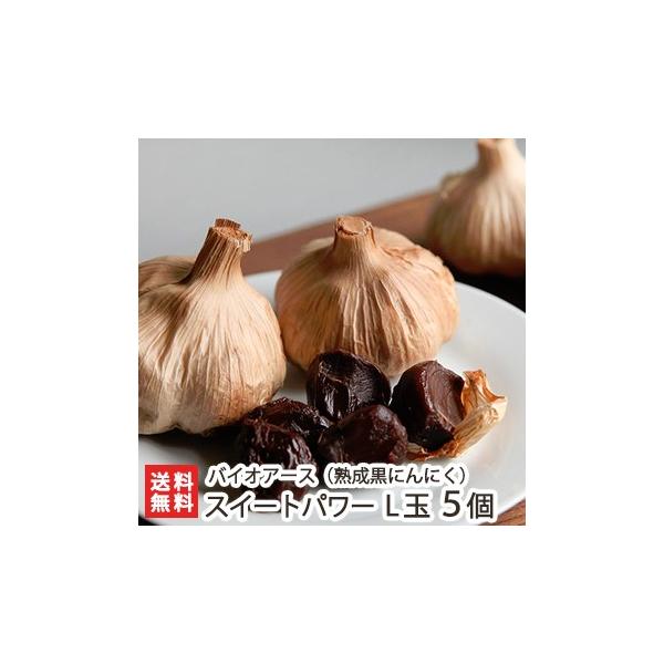 nɂɂuXC[gp[vL 5ij/jjN f/oCIA[X/