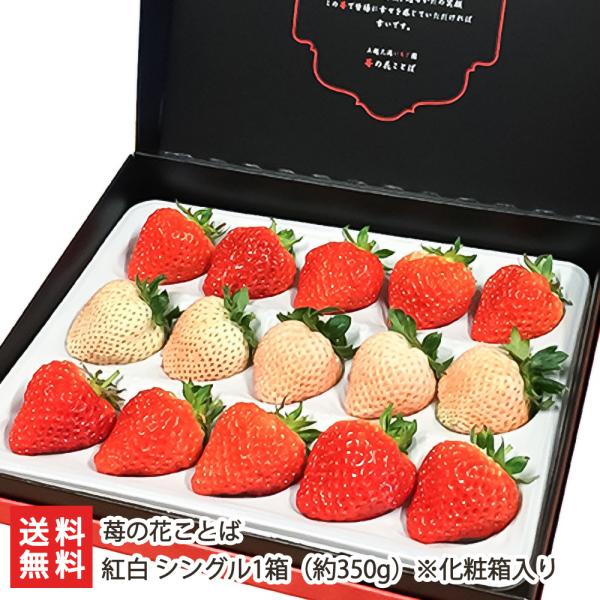 大粒であま〜い新潟県のブランド苺「越後姫」と酸味が少なくジューシーな新品種「桃薫」を摘みたて完熟で産地からお届けします。2種類が楽しめる紅白セットは、お祝いのギフトにもおすすめ♪摘みたて新鮮な完熟いちごを農園から産地直送でお届け！新潟県のブ...