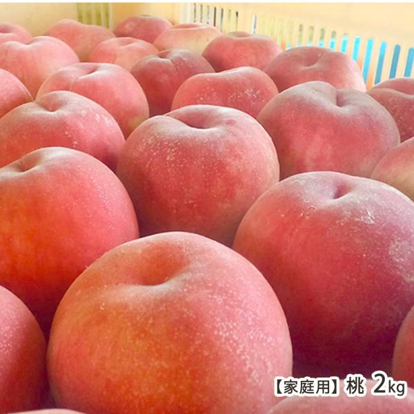 【家庭用】 新潟産 桃 2kg（6〜8玉）/くだもの屋にへじ/【訳あり】/送料無料