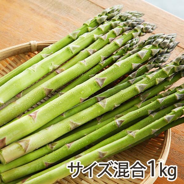 [Release date: April 17, 2026]太陽をたっぷり浴びて育った露地栽培のグリーンアスパラガスを産地直送！味が濃く、まるごと1本食べられる筋の少ない柔らかさが自慢です。朝採り新鮮な美味しさをお楽しみください♪新潟県燕市...