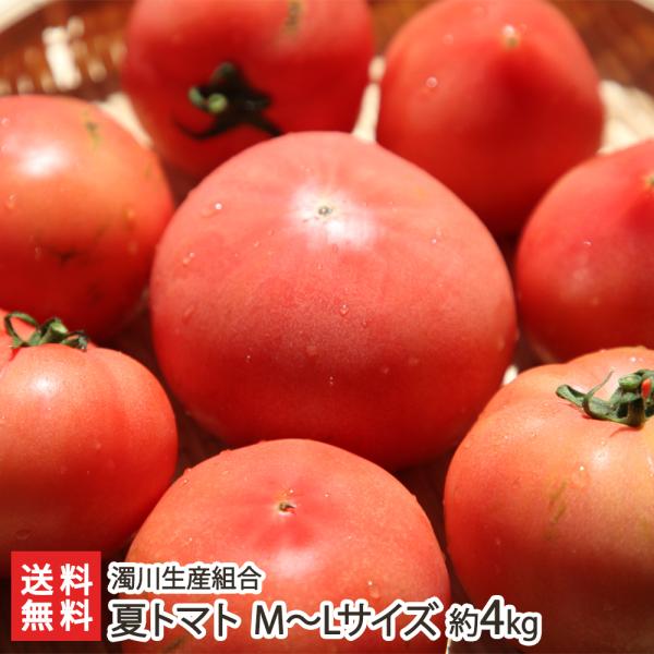���i�摜
