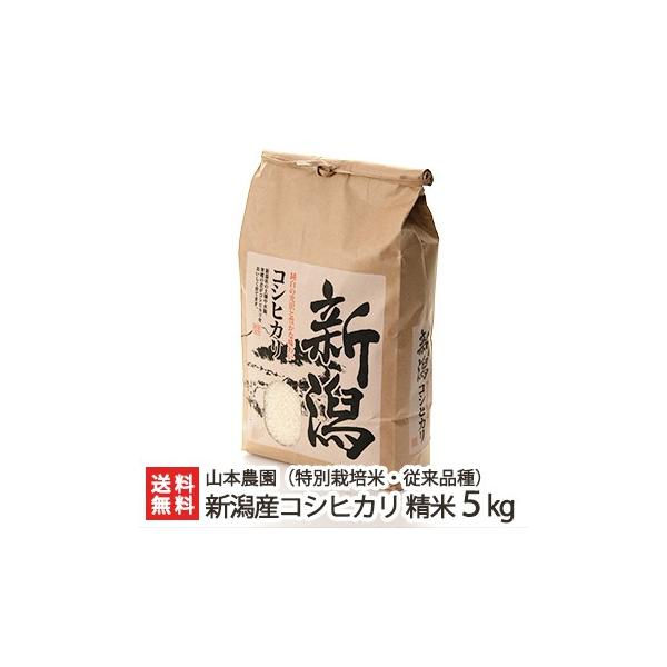 yߘa7NxVāzʍ͔|āi_Ew엿jVYRVqJi]ij5kg R{_/MtgɂI/̂/