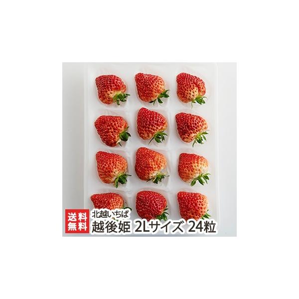 zP 2LTCY 24 kz/VYuh/̂ilj/