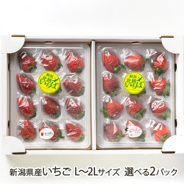 新潟県産いちご「よつぼし」「ベリーポップ はるひ」「ベリーポップ すず」をご紹介します。それぞれ甘みや酸味、香りの個性が豊かな品種。2パック入りで異なる品種を選べば、食べ比べが楽しめますよ。「北越いちば」は、新潟県の農業法人・農家が参加する...
