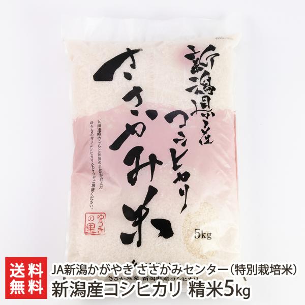 yߘa7NxVāzʍ͔|āi_Ew엿jVY RVqJ 5kg JAV₫ ݃Z^[/Mtg/MtgɂI/̂/