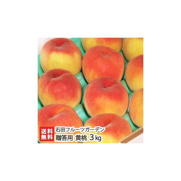 �V���Y ���� �����p3kg�i8�`11�ʁj�Γc�t���[�c�K�[�f��/��������