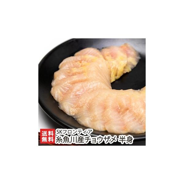 V Y `EU gi400`500gj/W {B ؐg uԗⓀ/SKteBA/