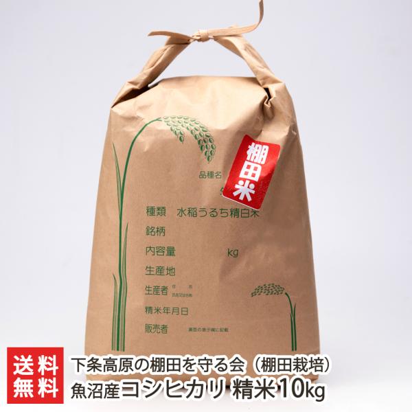 コシヒカリ 【令和7年度米】魚沼産コシヒカリ（棚田栽培）精米10kg/下