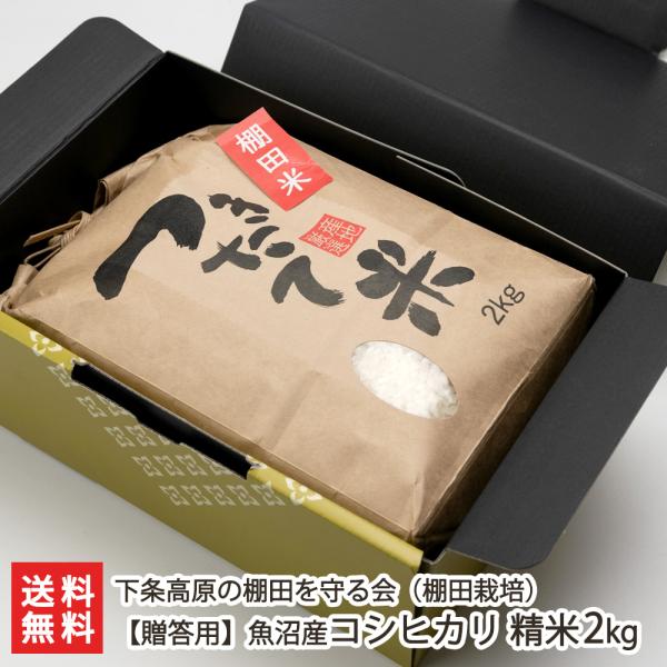 コシヒカリ 【令和7年度米】魚沼産コシヒカリ（棚田栽培）贈答用 精米 