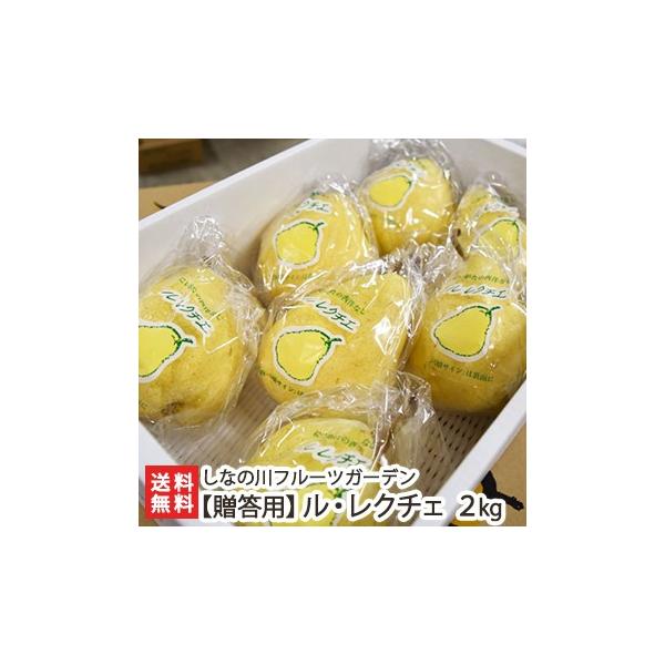 ypzEN`F 2kgi5`7ʁj/Ȃ̐t[cK[f/MtgɂI/̂/