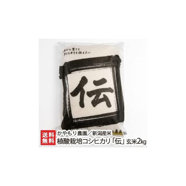 yߘa7NxVāzVY A_͔|RVqJu`v2kgE_fܓ2d/_/MtgɂI/̂/