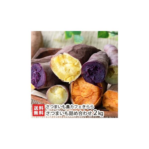 ܂lߍ킹 2kg 4܁E3ވȏ(i킪ꍇ) / ܂_JtF/