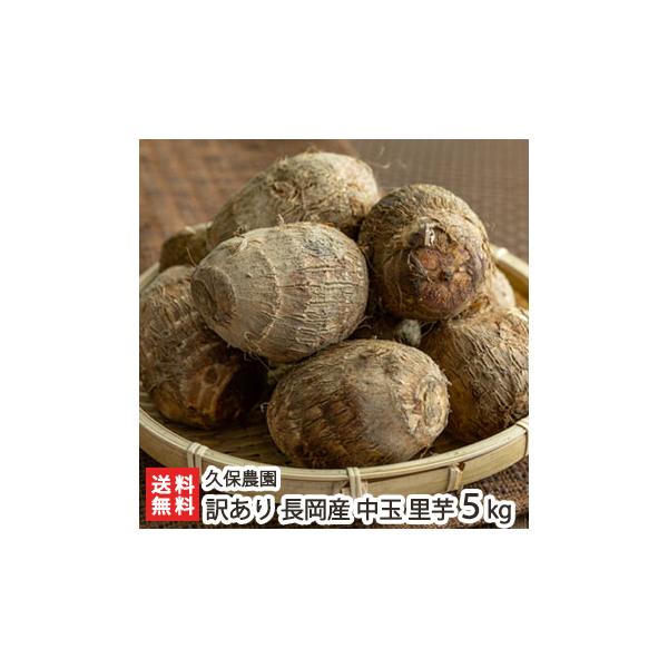 󂠂 Y   5kg/Ƃ/v۔_/