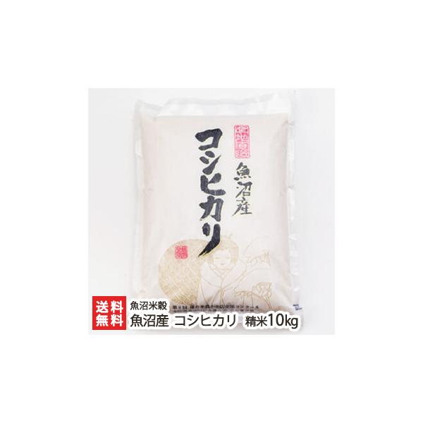 コシヒカリ 【令和5年度米】魚沼産コシヒカリ 精米10kg（5kg×2）魚沼