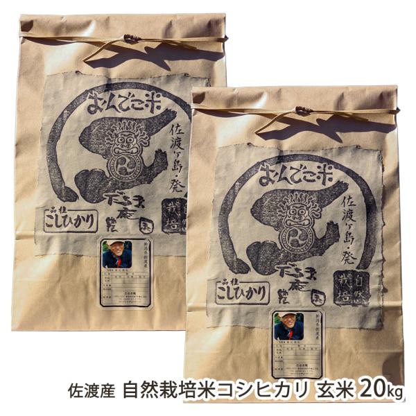 【令和8年度新米】佐渡産 自然栽培米（無農薬・無化学肥料） コシヒカリ 玄米20kg（10kg×2袋）/だるま庵農園/送料無料