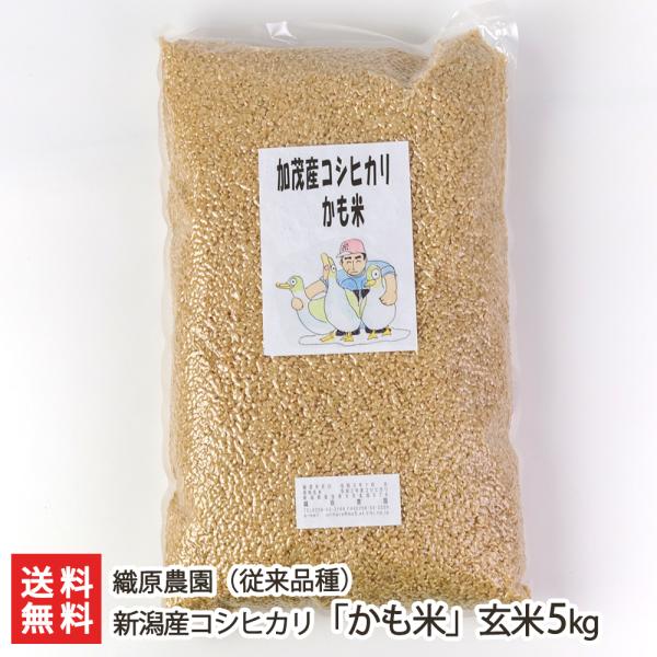 yߘa7NxVāzVYRVqJuāvi]ij5kg/D_/