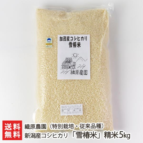 yߘa7NxVāzʍ͔|āi_Ew엿jVYRVqJu֕āvi]ij5kg/D_/