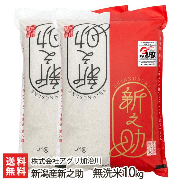 令和3年度米 新潟産 新之助 無洗米10kg 株式会社アグリ加治川/送料無料
