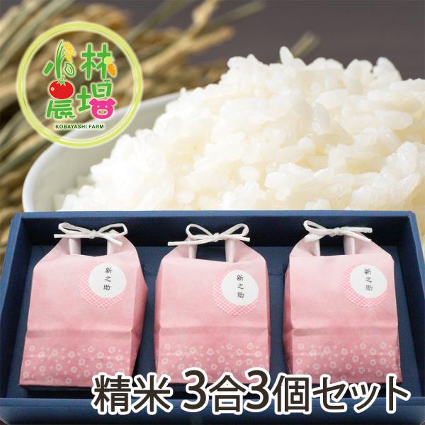 新之助（しんのすけ） 【令和7年度米】新潟産 精米 3合3個セット/小林
