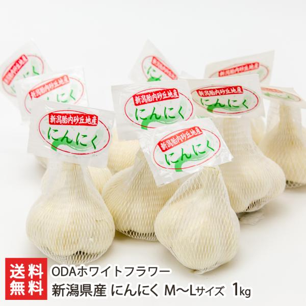 胎内市の球根農家が手掛けた「にんにく」。砂丘地で生産されたにんにくは、どれも大ぶりで、きれいな形。食欲をそそるにんにくの香りと、濃厚な甘みが好評です。2週間熟成させた「黒にんにく」もご用意。ODAホワイトフラワーの「にんにく」をご紹介。胎内...