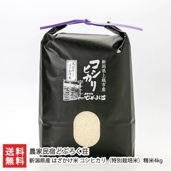 yߘa7NxVāzʍ͔|āi_Ew엿jVY ͂ RVqJ 4kg/_ƖhǂԂ낭/