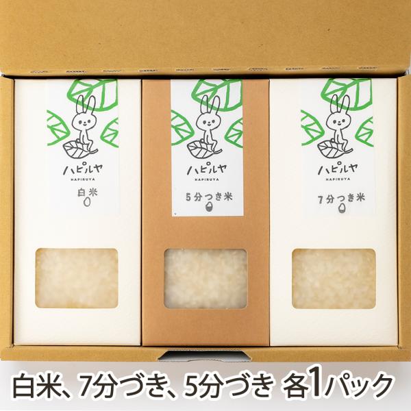 令和7年度米】新潟産コシヒカリのギフトセットA（白米、7分づき、5分