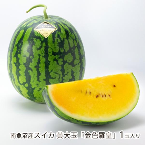 南魚沼産スイカ 黄大玉「金色羅皇」1玉入り/こまがた農園/送料無料