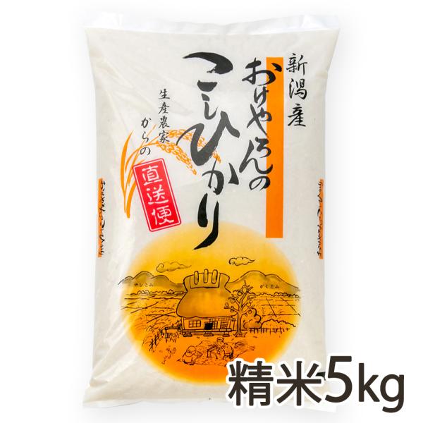 コシヒカリ 【令和5年度米】新潟県産コシヒカリ 精米5kg(5kg×1 コシヒカリ 【令和5年度米】新潟県産コシヒカリ 精米5kg(5kg×1