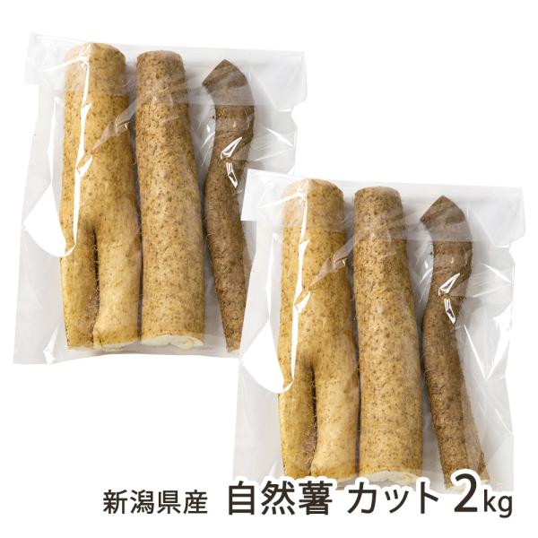 [Release date: November 27, 2025]飯豊連峰と朝日連峰に囲まれた、自然豊かな関川村で育った「自然薯」。贈答用におすすめな1本ものと、使いやすいカットものをご用意しています。まずはとろろにして、あつあつご飯にかけ...