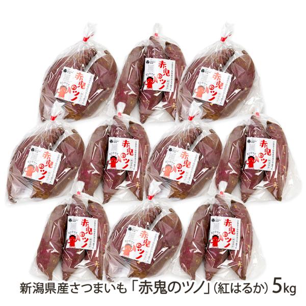 三条市で育ったさつまいも「紅はるか」。ミネラル豊富な赤土が、きめ細かくしっとりとした食感を育てます。収穫後、約2ヶ月かけて熟成させ、甘みを凝縮させました。一番おいしい状態でお届けします！三条市下田地区で、農産物の栽培から加工までを手掛けるナ...