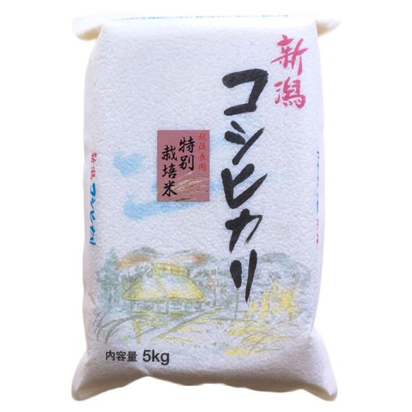 コシヒカリ お米 新潟県産 長岡地区限定 特別栽培米 白米 5kg 令 コシヒカリ お米 新潟県産 長岡地区限定 特別栽培米 白米 5kg 令