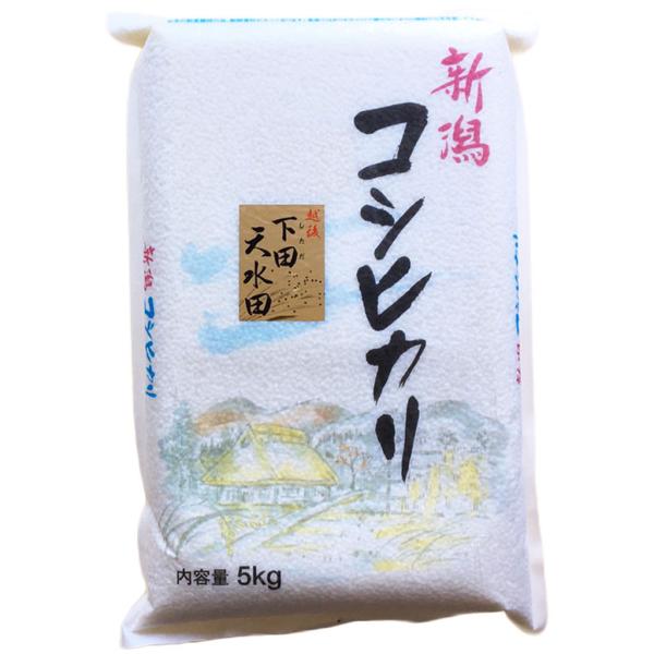 コシヒカリ お米 新潟県産 越後下田郷コシヒカリ［天水田米］白米 5kg