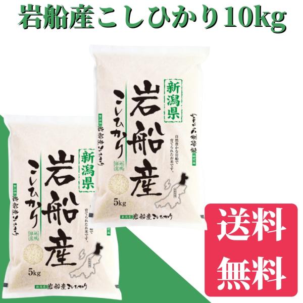 コシヒカリ 米 令和7年 米 10kg 送料無料 岩船産こしひかり 10kg（5kg