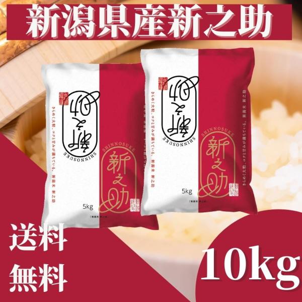 新之助（しんのすけ） 米 令和7年 米 10kg（5kg×2）新潟県産新之助