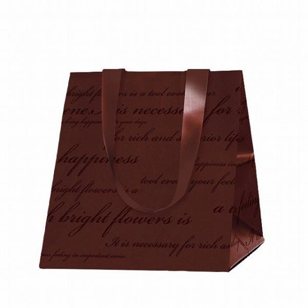 ◇数量　：1枚◇サイズ：Ｗ２２．０ＸＤ２０．０ＸＨ２５．０ＸＴＨ４４．０◇材質　：ポリエチレンプリザーブドフラワーやアーティシャルフラワーのアレンジメントの持ち運びに！マチ付きなのでアレンジメントを安定して運べます。5000円（税別）以上の...