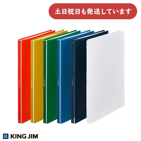 ヒクタス キングジム クリアーファイル 透明 A4 タテ型 40ポケット