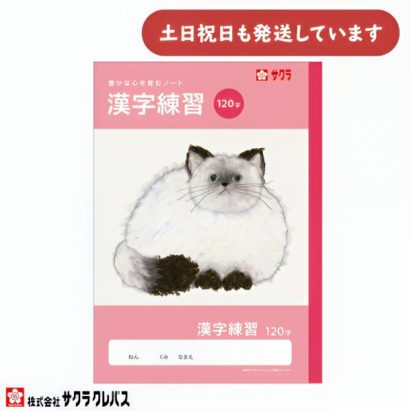 サクラクレパス 豊かな心を育むノート 漢字練習 B5 120字 文房具 文具 かんじれんしゅう 学童文具 サクラ学習帳