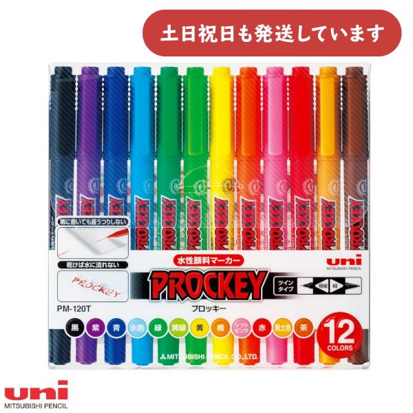 三菱鉛筆 プロッキー 水性顔料マーカー 極細＋細字丸芯 12色セット