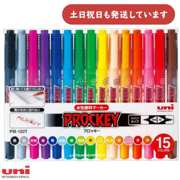 三菱鉛筆 プロッキー 水性顔料マーカー 極細＋細字丸芯 15色セット
