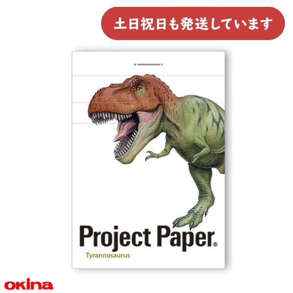 OKINA オキナ プロジェクトステッチメモ ダイナソー