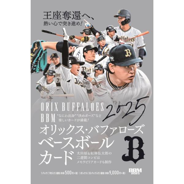 専用　オリックス・バファローズ DVDセット 2019年2021年 niki_041420250012