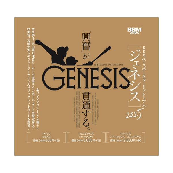 ★激レア★輸入★国内未流通★GENESIS★3ボールキャリー★ジェネシス★ スーツケース 上に乗せる カバン キャリーオンバッグ バッグオン