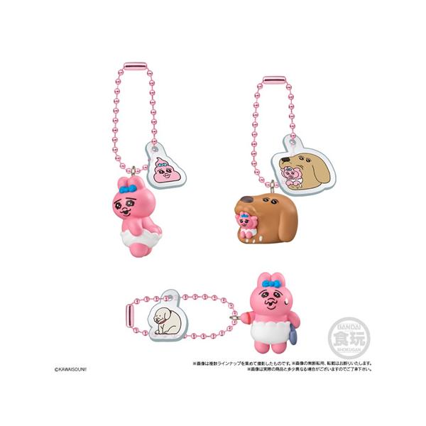 niki_4570117926921_4_d_20260220185222