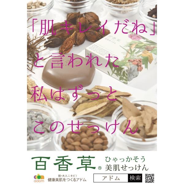 ニキビ ニキビ跡 大人ニキビ 思春期ニキビ ニキビケア 毛穴 肌荒れ 天然 ヒアルロン酸 月桃葉 百香草 保湿 セット 化粧水 美容液 メーカー直送 Buyee Buyee Japanese Proxy Service Buy From Japan Bot Online